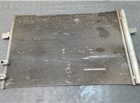 2H0820411B Радиатор кондиционера Volkswagen Amarok 2010-2025 20840970 #1