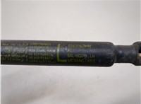 654709269R Амортизатор капота Renault Koleos 2016- 20845273 #2