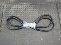 808333925R Уплотнитель Renault Koleos 2016- 20845334 #1