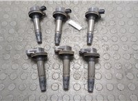 Катушка зажигания(комплект) Ford Explorer 2010-2015 20845998 #1