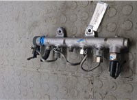  Рампа (рейка) топливная Volkswagen Polo 2009-2014 20846544 #1