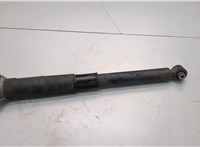 5QF513049BN Амортизатор подвески Volkswagen Tiguan 2020-2025 20846628 #1