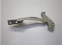 DS7Z16797A Петля капота Ford Fusion 2012-2016 USA 20848056 #1