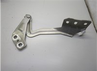 DS7Z16797A Петля капота Ford Fusion 2012-2016 USA 20848056 #4