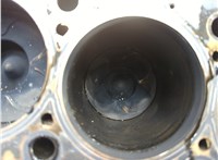 059100103TX Блок цилиндров (Шорт блок) Audi A6 (C5) 1997-2005 20850297 #4