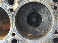 059100103TX Блок цилиндров (Шорт блок) Audi A6 (C5) 1997-2005 20850297 #14