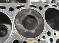 059103011BL, 059105101AJ, 059107065CK Блок цилиндров (Шорт блок) Audi A6 (C6) Allroad 2006-2011 20850647 #6