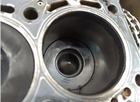 059103011BL, 059105101AJ, 059107065CK Блок цилиндров (Шорт блок) Audi A6 (C6) Allroad 2006-2011 20850647 #7