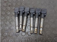 0040102044 Катушка зажигания(комплект) Volkswagen Phaeton 2002-2010 20851253 #1