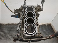  Блок цилиндров (Шорт блок) KIA Ceed 2012-2018 20851733 #7