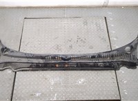 DS73F02216AG Жабо под дворники (дождевик) Ford Fusion 2017-2020 USA 20852823 #1