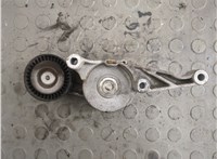  Натяжитель приводного ремня Volkswagen Passat 6 2005-2010 20856746 #2