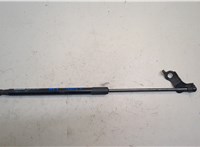 534500W180 Амортизатор капота Toyota Land Cruiser Prado (150) - 2009-2020 20857228 #1