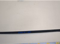 51317427873, 7427873 Молдинг стекла (лобовое) BMW 3 G20, G21 2018-2025 20857292 #1