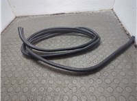  Уплотнитель Toyota Land Cruiser Prado (150) - 2009-2020 20857583 #4