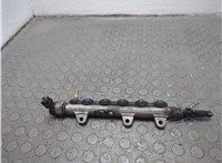  Рампа (рейка) топливная Renault Laguna 3 2007-2025 20858207 #1