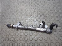  Рампа (рейка) топливная Skoda SuperB 2008-2015 20858459 #1