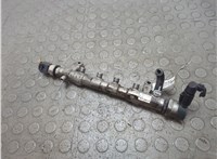  Рампа (рейка) топливная Volkswagen Passat 7 2010-2015 Европа 20858796 #1