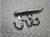  Рампа (рейка) топливная Land Rover Range Rover Sport 2005-2013 20859087 #1