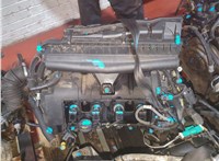 0135LN Двигатель (ДВС) Peugeot 207 2006-2015 20860417 #5