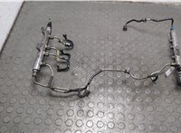  Рампа (рейка) топливная Land Rover Range Rover Sport 2005-2013 20864953 #1