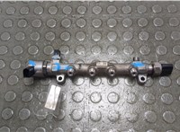  Рампа (рейка) топливная Volkswagen Tiguan 2011-2018 20866262 #1