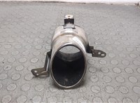 50547710, 50547708 Насадка глушителя Alfa Romeo Giulia 2015- 20866333 #1