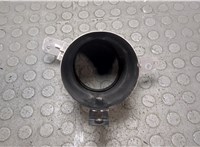 50547710, 50547708 Насадка глушителя Alfa Romeo Giulia 2015- 20866333 #2