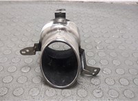 50547710, 50547708 Насадка глушителя Alfa Romeo Giulia 2015- 20866335 #1