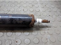 1707348 Амортизатор подвески DAF LF 2001-2013 20866363 #6