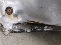  Стеклоподъемник электрический Audi A6 (C5) 1997-2005 11646315 #7