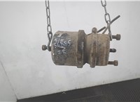 1408761 Энергоаккумулятор DAF LF 2001-2013 20867931 #4