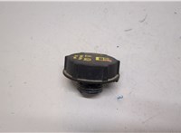 DG938101AA Пробка расширительного бачка Ford Fusion 2012-2016 USA 20867998 #1