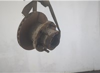 1703809, 1408672 Ступица (кулак, цапфа) DAF LF 2001-2013 20868208 #1