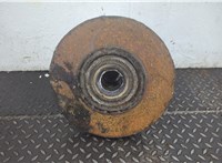 1703800, 1703798, 1703801 Ступица (кулак, цапфа) DAF LF 2001-2013 20868893 #1