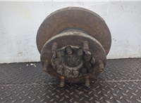 1703800, 1703798, 1703801 Ступица (кулак, цапфа) DAF LF 2001-2013 20868893 #3