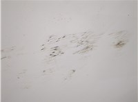  Стекло боковой двери Mitsubishi Outlander 2012-2021 11648796 #4