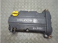 24403787, 55351461 Крышка клапанная ДВС Opel Corsa C 2000-2006 20872400 #1