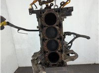 604084, 9118417 Блок цилиндров (Шорт блок) Opel Corsa C 2000-2006 20872402 #7