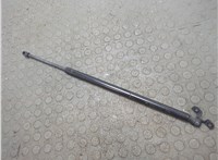 05054247AB Амортизатор капота Chrysler Pacifica 2003-2008 20872547 #1