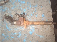 9657144580 Форсунка топливная Ford Focus 2 2005-2008 20874515 #1