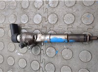 166008052R, 8200704191 Форсунка топливная Renault Scenic 2009-2012 20876572 #2