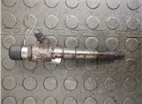 166008052R, 8200704191 Форсунка топливная Renault Scenic 2009-2012 20876572 #6