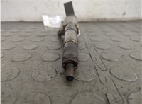 166008052R, 8200704191 Форсунка топливная Renault Scenic 2009-2012 20876572 #7