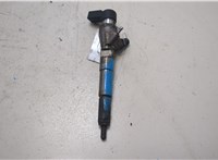 166008052R, 8200704191 Форсунка топливная Renault Scenic 2009-2012 20876572 #10