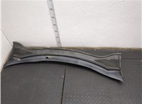 LJ6Z78018A16AB, LJ6BS02216AD5JA6 Жабо под дворники (дождевик) Ford Escape 2019-2022 20877856 #1