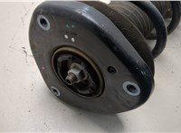 LX6Z18124EW Амортизатор подвески Ford Escape 2019-2022 20878743 #2