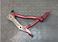 FR3B6342701AD Петля капота Ford Mustang 2014-2017 20879059 #2