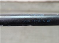 FR3B63406A10AA Амортизатор капота Ford Mustang 2014-2017 20879283 #2