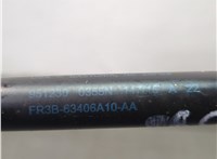 FR3B63406A10AA Амортизатор капота Ford Mustang 2014-2017 20879286 #1